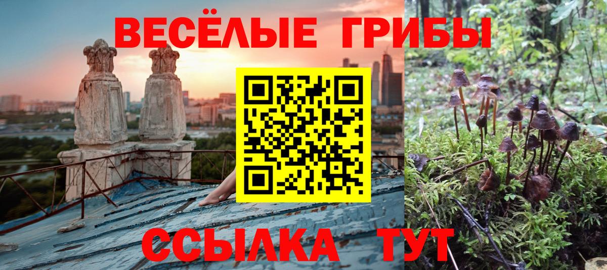 Галлюциногенные грибы GOLDEN TEACHER Мурманск