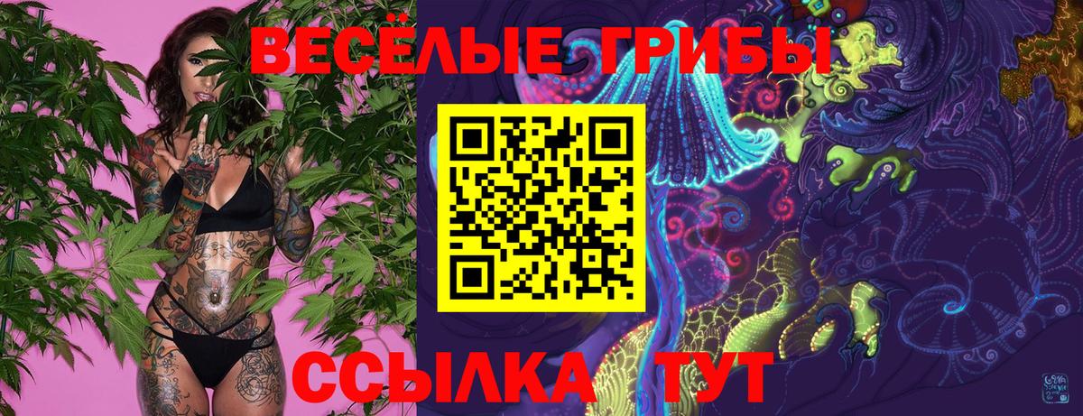 Псилоцибиновые грибы мицелий  Вход с VPN  Мурманск 